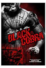 Black Cobra 2012 Dual Audio Hindi 480p 300MB Filmy4Wap