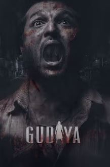 Download Gudiya 2023 Punjabi Movie 480p 720p 1080p Filmy4Wap