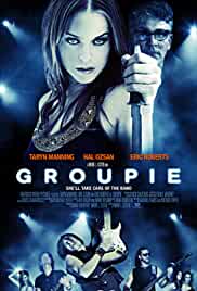 Groupie 2010 Hindi Dubbed 480p Filmy4Wap