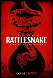 Rattlesnake 2019 Dual Audio Hindi 480p 300MB Filmy4Wap