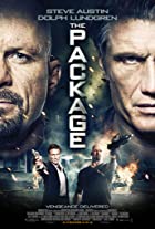 The Package 2013 Hindi Dubbed 480p 720p Filmy4Wap