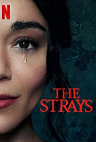 The Strays 2023 Hindi Dubbed 480p 720p 1080p Filmy4Wap