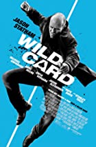 Wild Card 2015 Hindi Dubbed 480p 720p Filmy4Wap