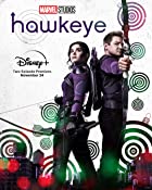 Hawkeye All Seasons Hindi 480p 720p HD Download Filmy4Wap  Filmywap